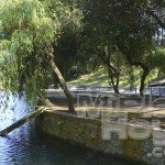 Estanque de patos Parque de Mataleñas