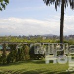 Palmeras Parque de Mataleñas