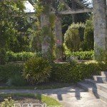 Paseo Parque de Mataleñas