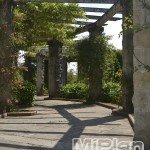 Paseo flores Parque de Mataleñas