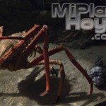 museomaritimo_acuario