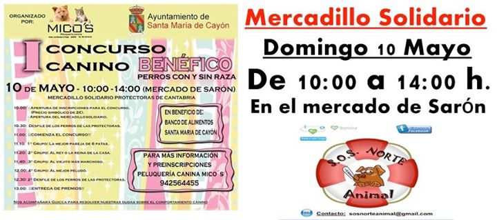 Mercadillo Solidario y concurso canino en Sarón