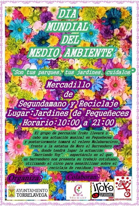 Mercadillo de Segundamano en Pequeñeces en Torrelavega