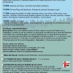 Baños de ola 2015 Santander 12