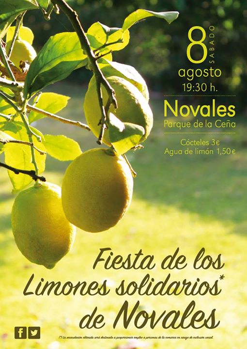 LIMONES SOLIDARIOS DE NOVALES 2015
