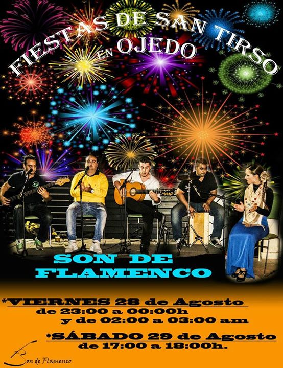 Concierto de Son de Flamenco en Ojedo