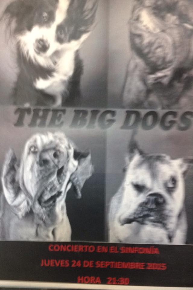 Concierto de The Big Dogs en el Nueva Sinfonía de Torrelavega