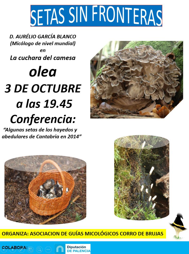 Conferencia micológica en Olea
