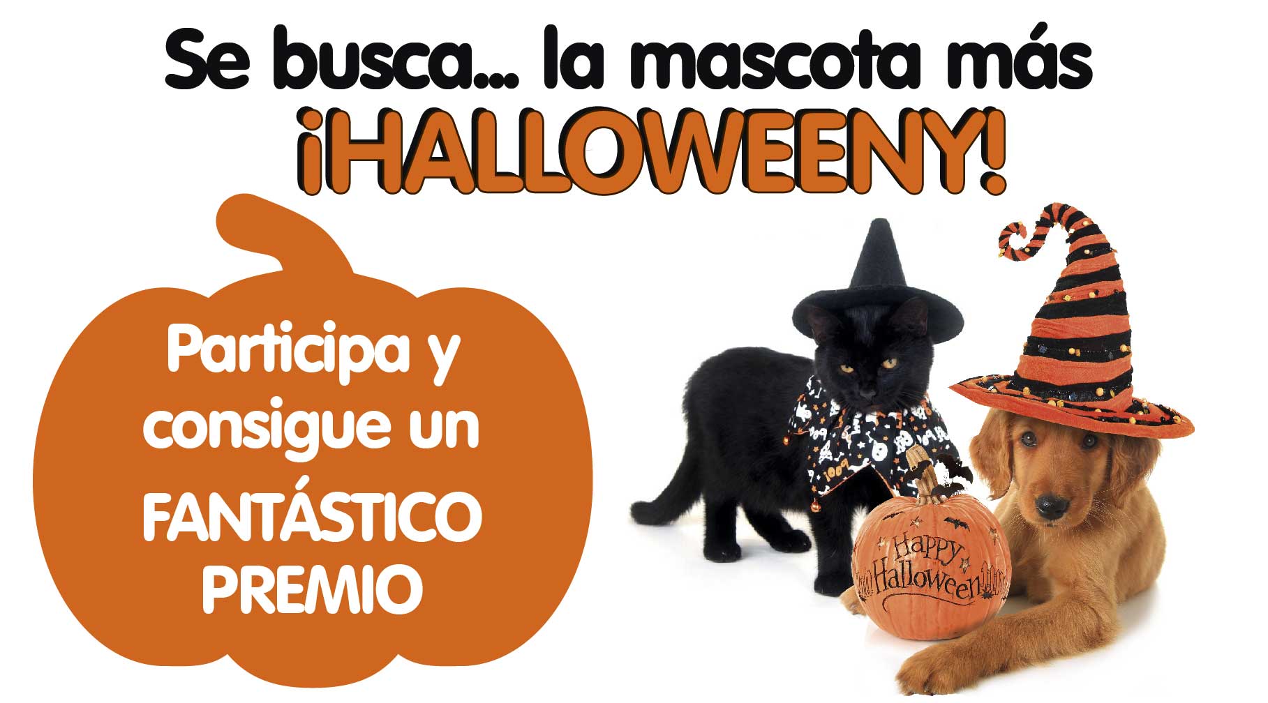 Concurso de disfraces de mascotas «Se busca la mascota más Halloweeny»