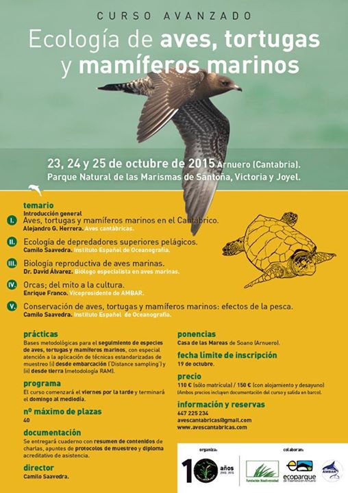 Curso de Aves tortugas y mamíferos marinos en Arnuero