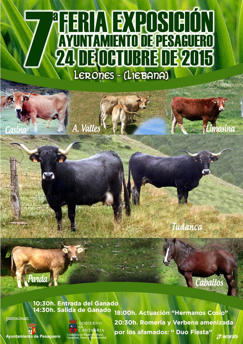 Feria Exposición de ganado en Pesaguero,Liébana