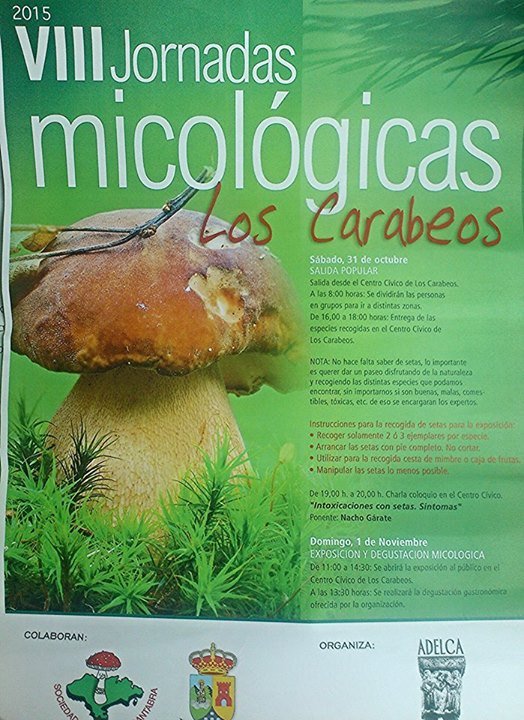 Jornadas micológicas Los Carabeos en Valderredible