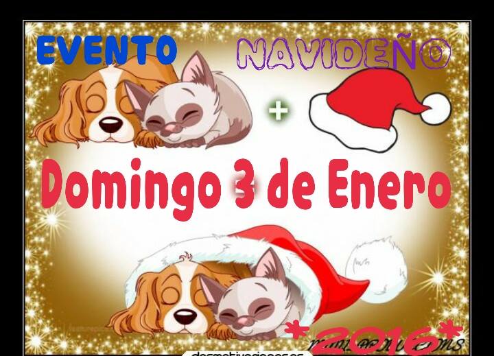 Adopta una mascota en Navidad
