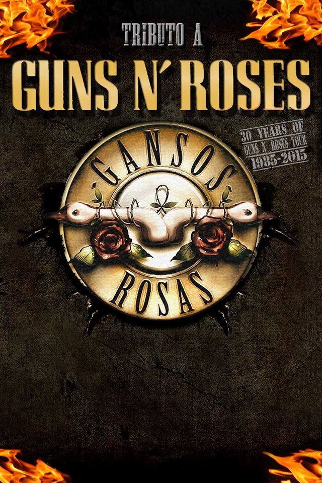 Concierto de Gansos Rosas en el Café de Noa en Santander