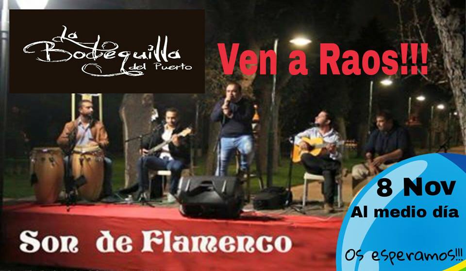 Concierto de Son de Flamenco en La Bodeguilla del Puerto en Raos