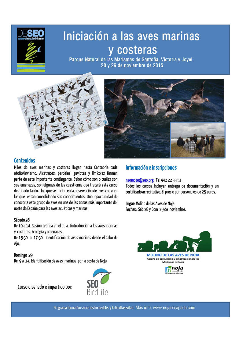 Curso iniciación a las aves marinas y costeras en Noja