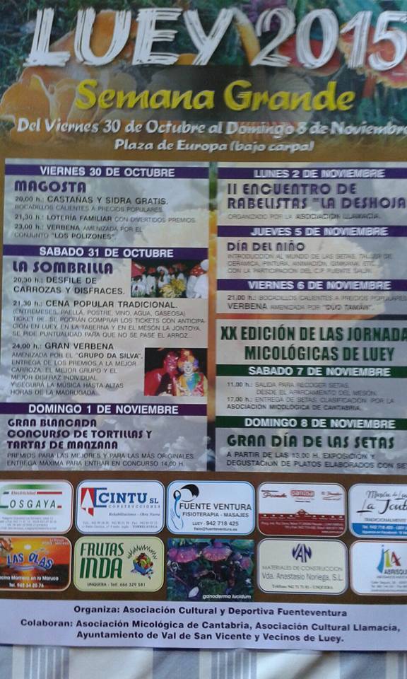 Fiestas de la semana grande de Luey 2015