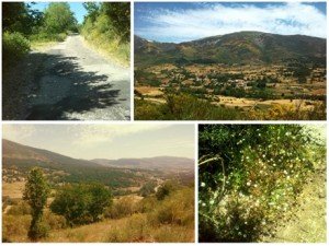 posada Naciebro entorno