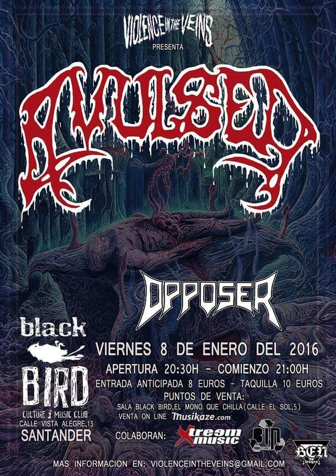 Concierto de  Avulsed + Opposer en el Black Bird en Santander