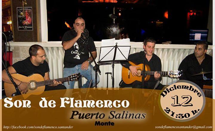 Concierto de Son de Flamenco en Puerto Salinas en Monte