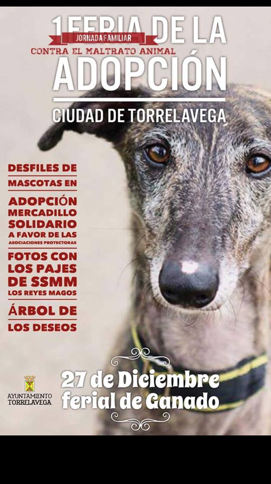 Feria de la adopción en Torrelavega