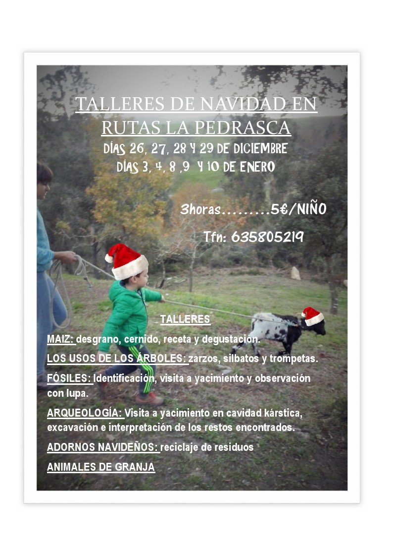 Talleres rurales en Navidad 2015 en Rutas La Pedrasca