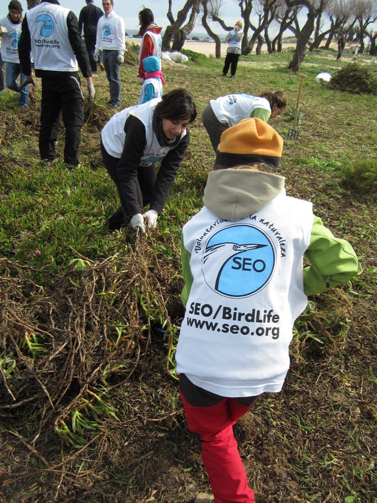 Proyecto medioambiental Plan Provoca en Noja
