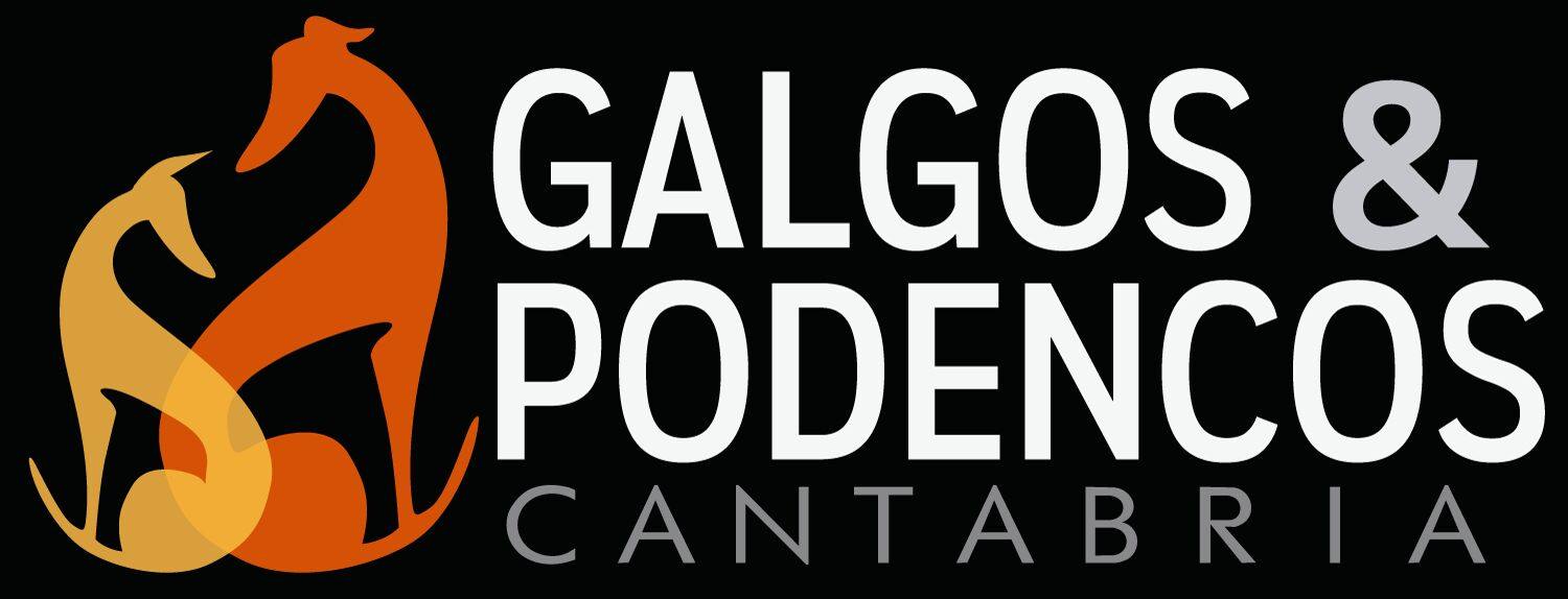 Feria de adopcion de perros en Torrelavega