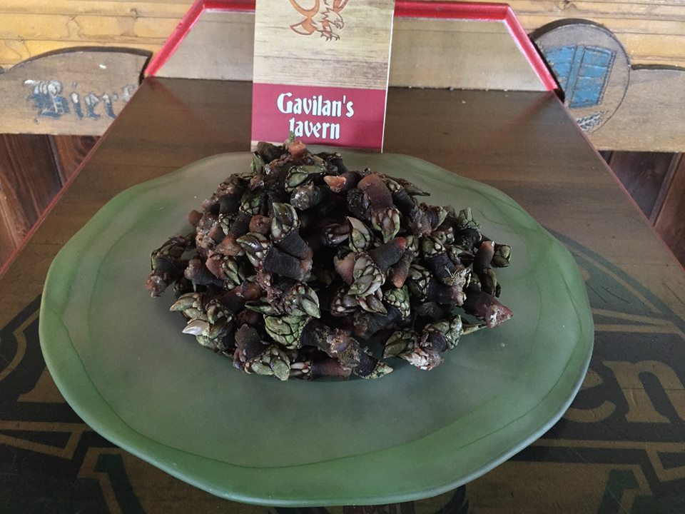 Jornadas del Percebe en el Gabilan´s Tavern en Liencres