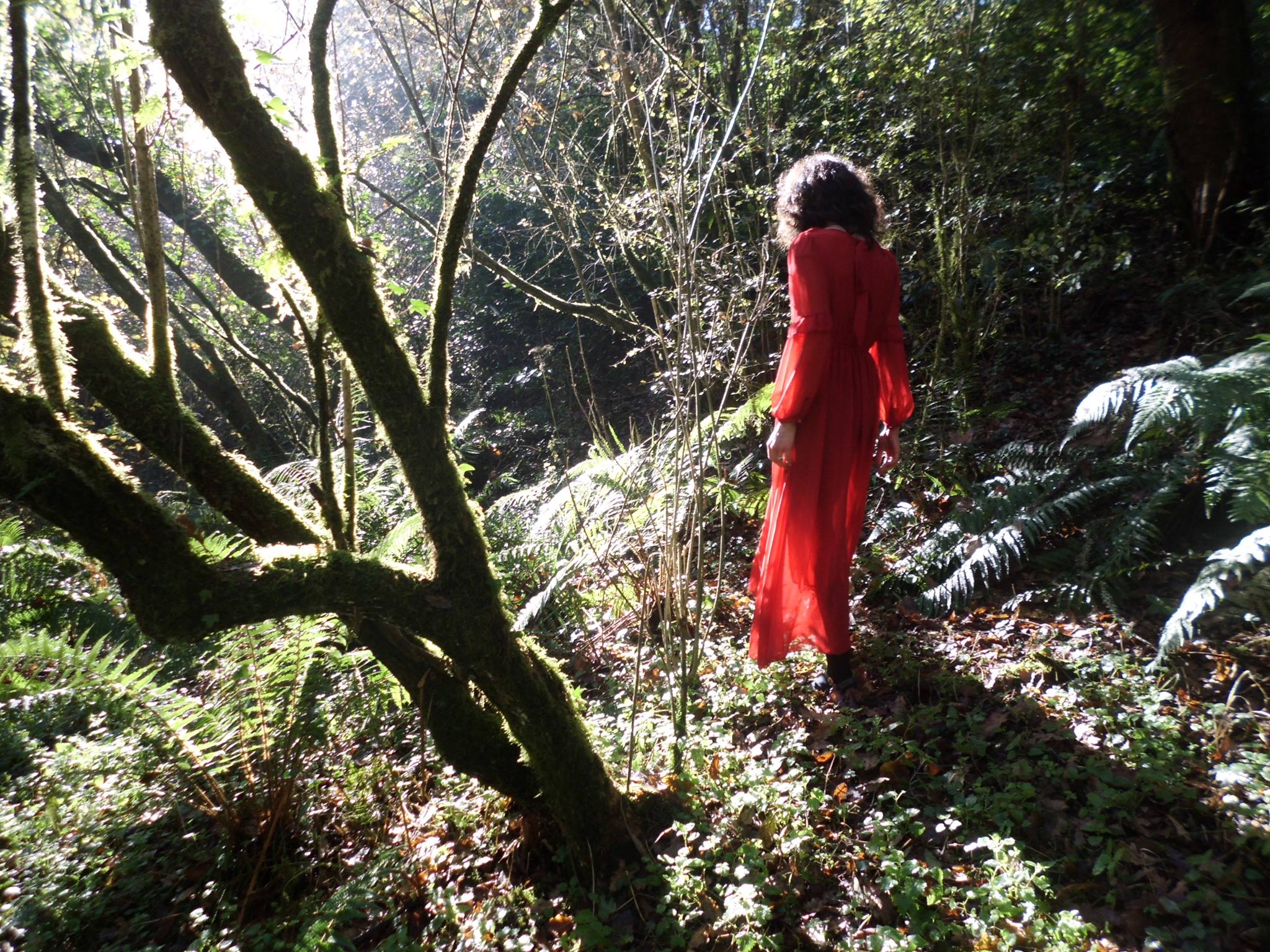 Concierto de Filandera Folk en el Bar Mi Casa de Viernoles