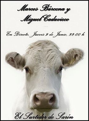 Concierto de Marcos Barcena y Miguel Cadavieco en el Surtidor de Saron