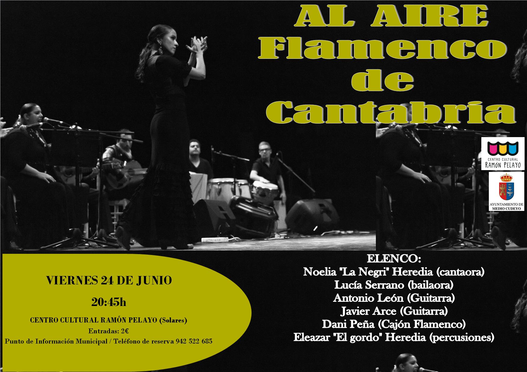 Espectaculo Flamenco en Solares