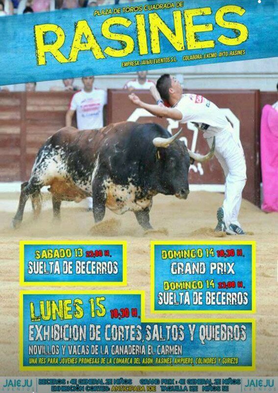 Espectáculos taurinos para todos en Rasines