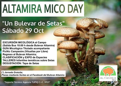 Concurso para excursión micológica de el Bulevar Altamira de Torrelavega