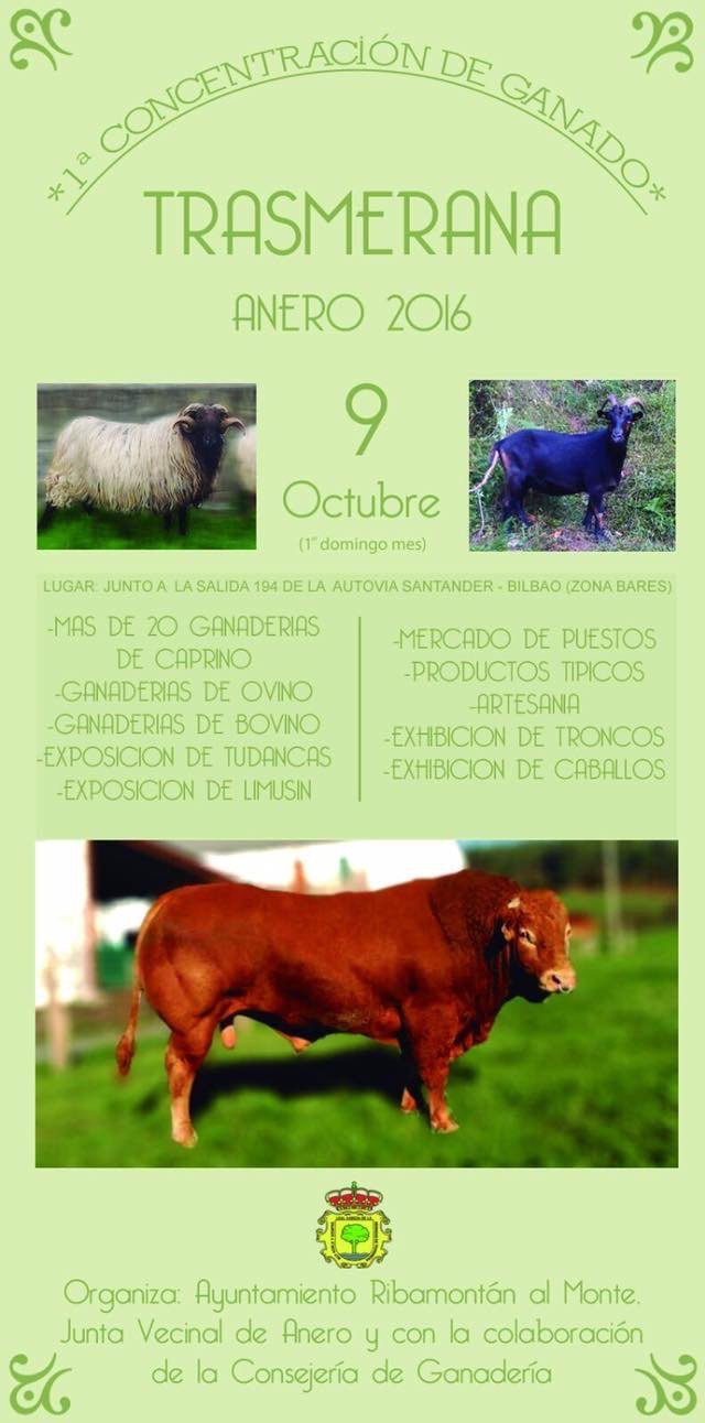 Feria de ganado Trasmerana  en Anero 2016