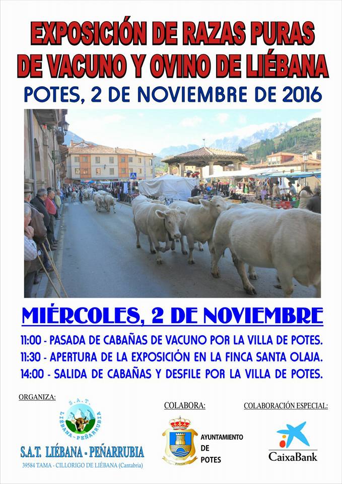 Feria ganadera en Potes 2016