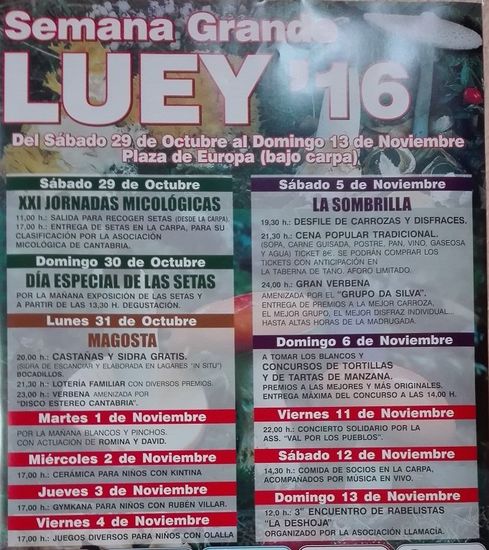 Fiestas y semana grande de Luey 2016