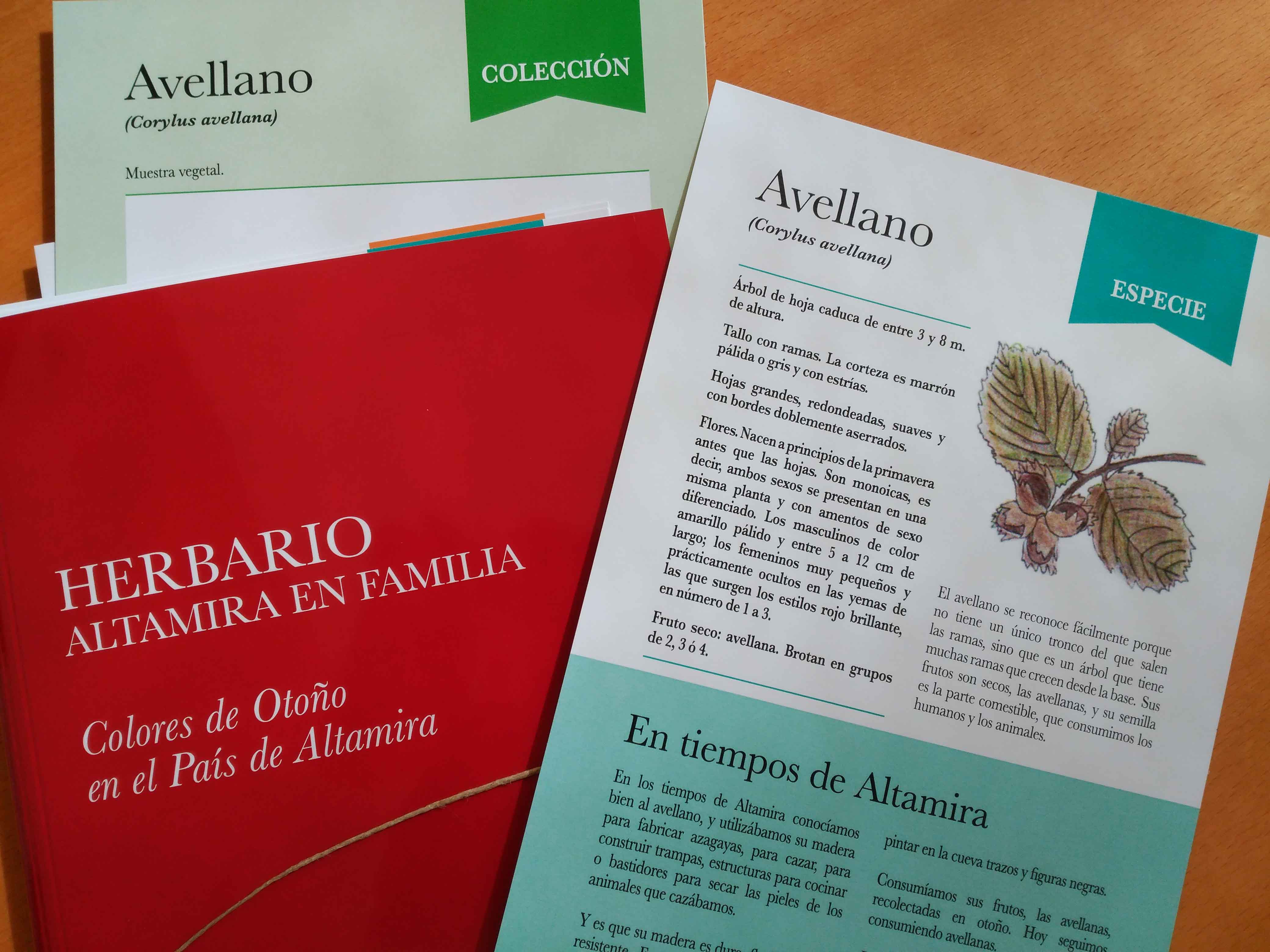 Herbario Colores de otoño en el País de Altamira