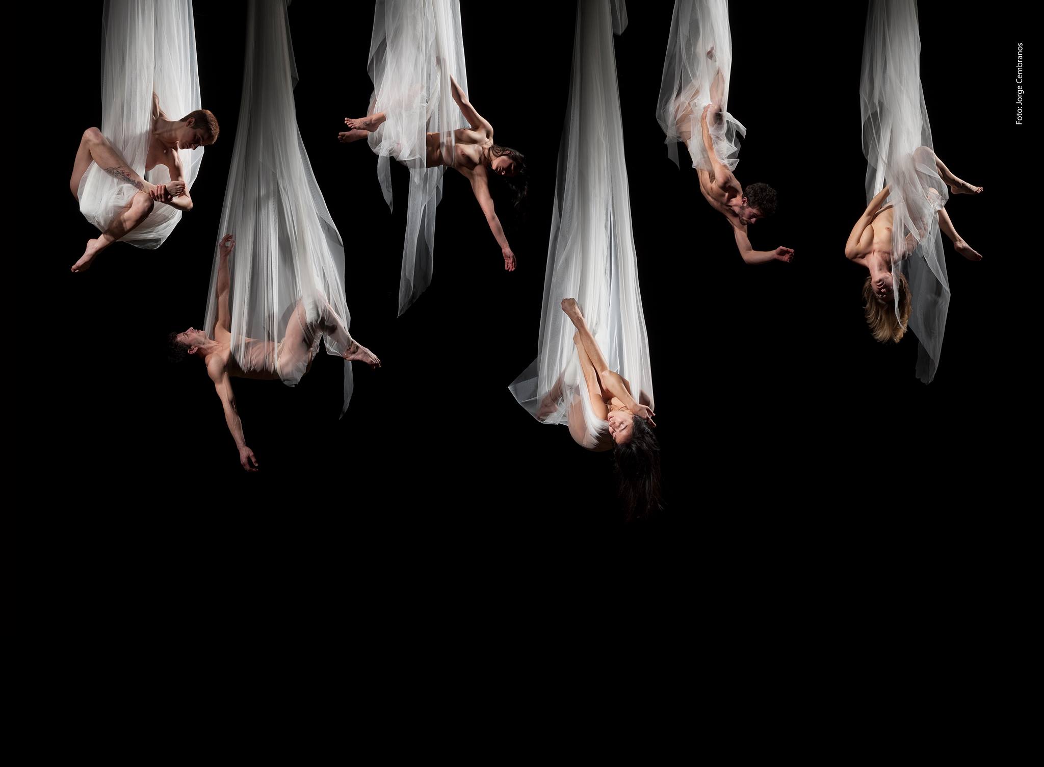 Espectáculo La Consagración de la Primavera en torrelavega