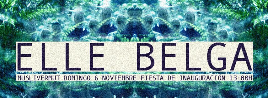 Concierto de Elle Belga en el Musli de Torrelavega