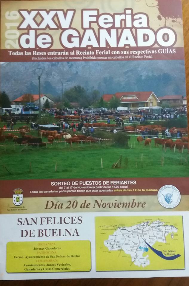Feria de ganado en San Felices de Buelna 2016