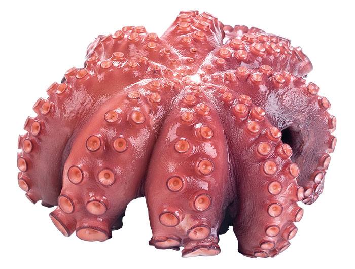 Jornadas Gallegas en el Centro Gallego de Santander