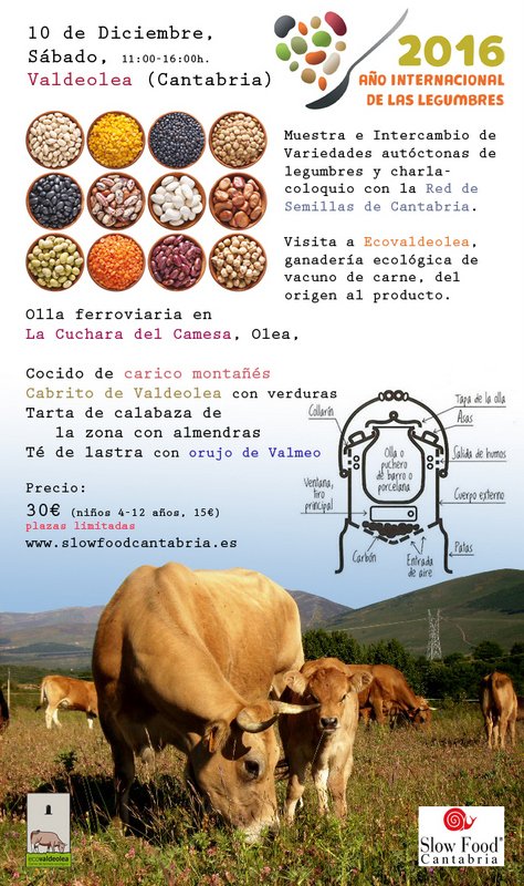 Año internacional de las legumbres en Olea