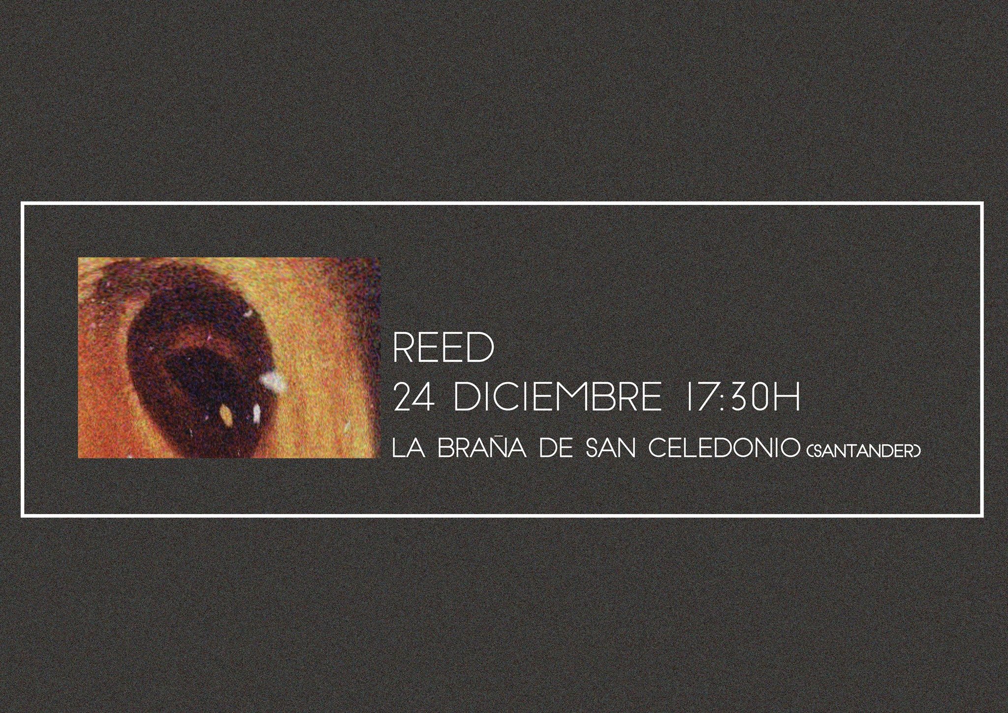 Concierto de Reed en La Braña de San Celedonio de Santander