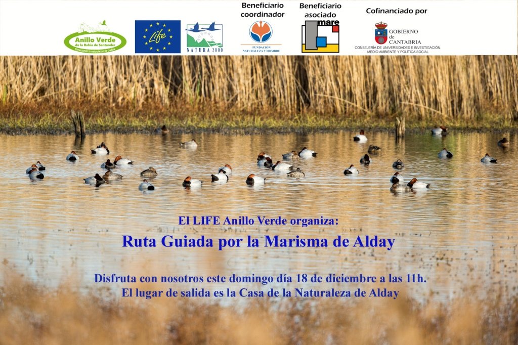 Ruta guiada por las Marismas de Alday en Maliaño