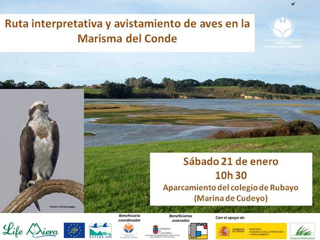 Ruta por la Marisma del Conde en Rubayo