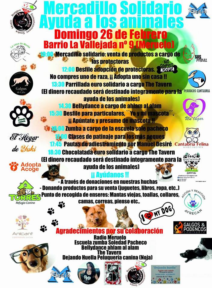 Mercadillo solidario en The Tavern de Meruelo