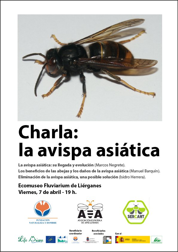 Charla sobre la avispa asiática en el Fluviarium de Liérganes