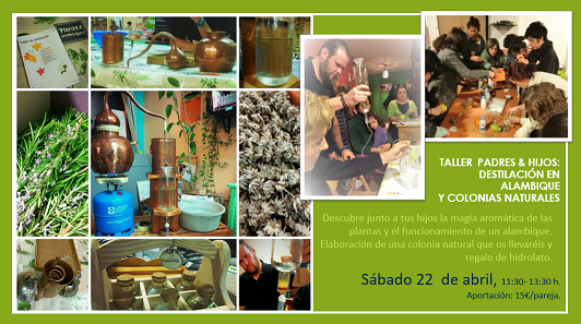Taller padres e hijos. Destilación en alambique y colonias naturales en Igollo de Camargo