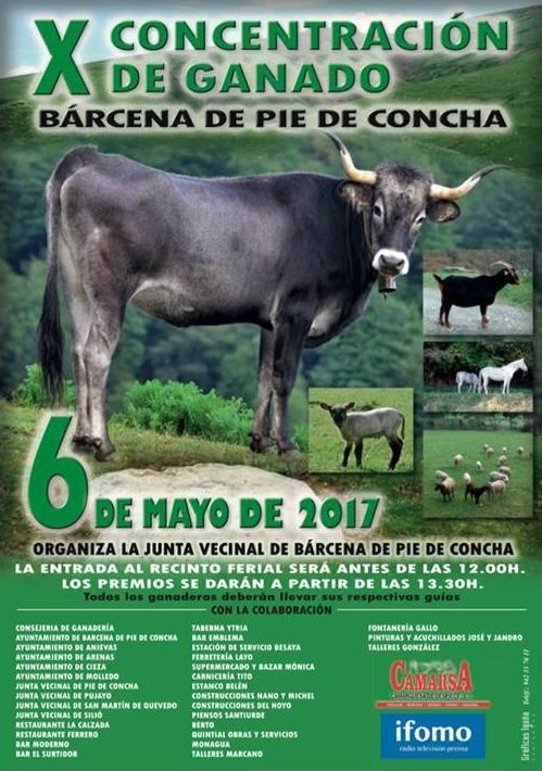 X Concentración de Ganado en Bárcena de Pie de Concha 2017